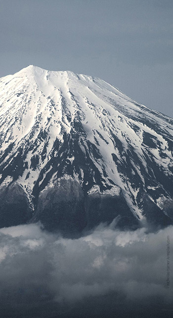 Nicholas Turner Karate Dojos e.V. Nicholas Turner